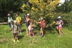 IMG-20190610-WA0032
