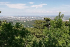 IMG-20190613-WA0020