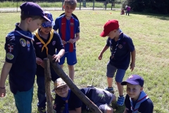 IMG-20190614-WA0006