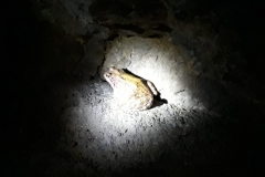 höhle (5)