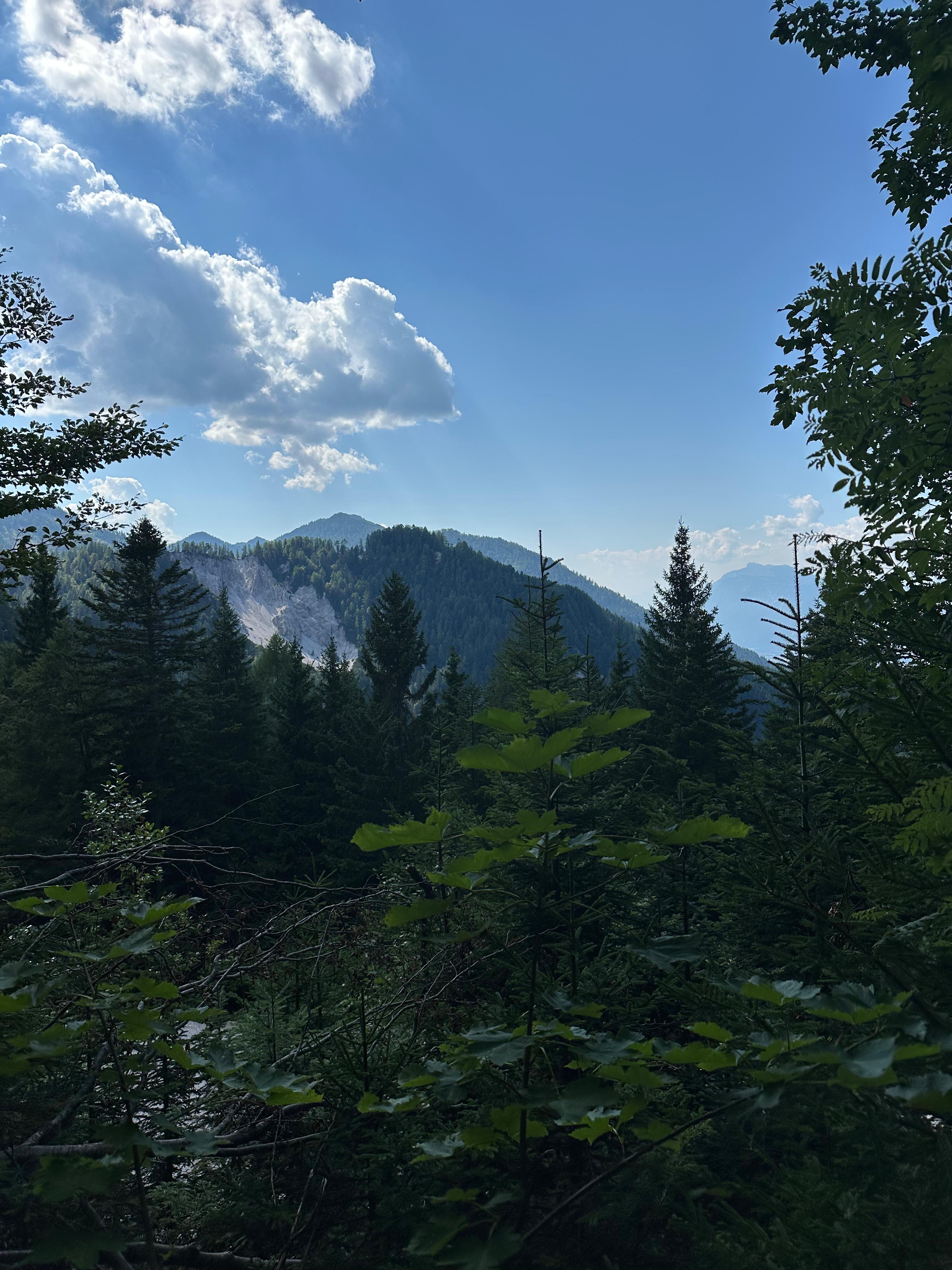 IMG-20250811-WA0041