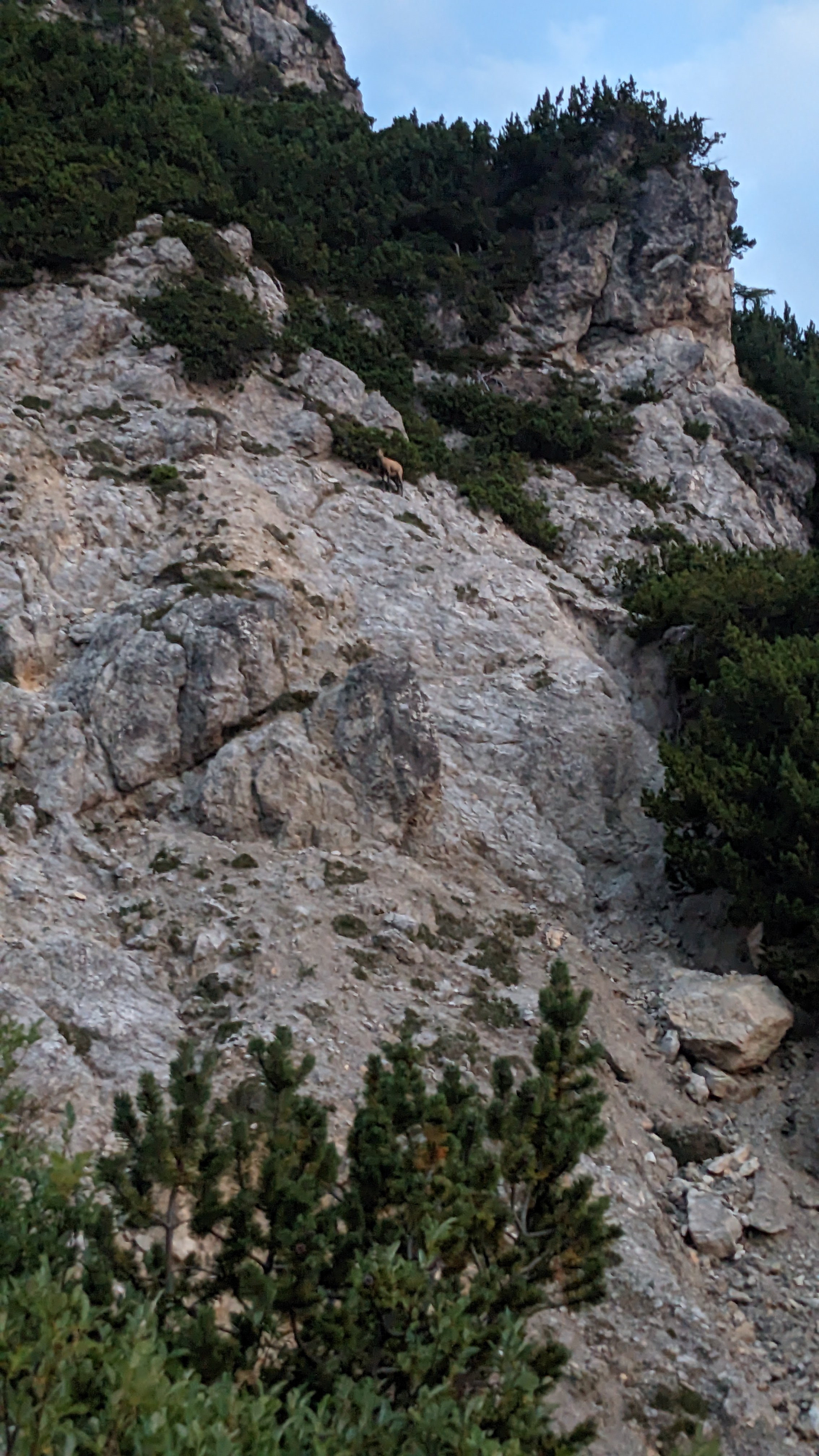 PXL_20250811_032805833.NIGHT_