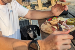 PXL_20250810_170035733 PXL_20250810_170035733