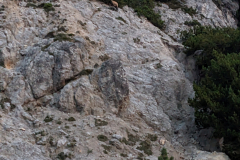 PXL_20250811_032805833.NIGHT_ PXL_20250811_032805833.NIGHT_