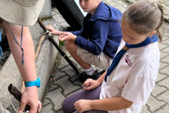 IMG-20250803-WA0025 IMG-20250803-WA0025