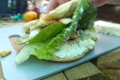 WhatsApp-Image-2025-08-06-at-13.24.43 WhatsApp-Image-2025-08-06-at-13.24.43