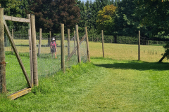 20250807_123827 20250807_123827