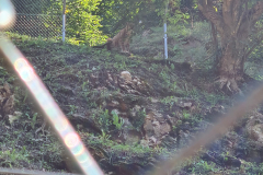 20250807_130940 20250807_130940