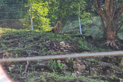 20250807_130955 20250807_130955