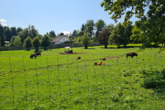 20250807_141046 20250807_141046