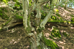 20250807_142040 20250807_142040