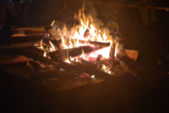 20250809_211704 20250809_211704