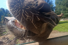 WhatsApp-Image-2025-08-07-at-12.58.51-3 WhatsApp-Image-2025-08-07-at-12.58.51-3