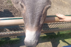 WhatsApp-Image-2025-08-07-at-12.58.51-5 WhatsApp-Image-2025-08-07-at-12.58.51-5