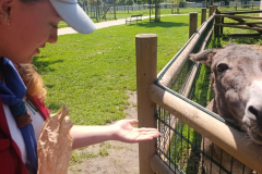 WhatsApp-Image-2025-08-07-at-12.58.51-6 WhatsApp-Image-2025-08-07-at-12.58.51-6