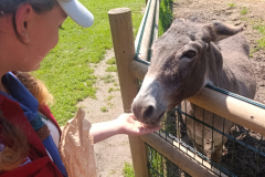 WhatsApp-Image-2025-08-07-at-12.58.51-7 WhatsApp-Image-2025-08-07-at-12.58.51-7