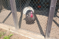 WhatsApp-Image-2025-08-07-at-12.58.51 WhatsApp-Image-2025-08-07-at-12.58.51