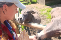 WhatsApp-Image-2025-08-07-at-12.58.52-1 WhatsApp-Image-2025-08-07-at-12.58.52-1