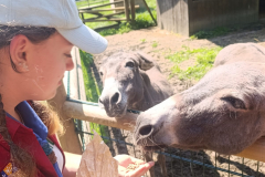 WhatsApp-Image-2025-08-07-at-12.58.52-2 WhatsApp-Image-2025-08-07-at-12.58.52-2