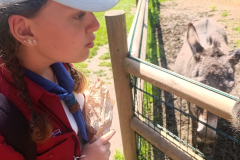 WhatsApp-Image-2025-08-07-at-12.58.52-3 WhatsApp-Image-2025-08-07-at-12.58.52-3