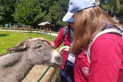 WhatsApp-Image-2025-08-07-at-12.58.52-7 WhatsApp-Image-2025-08-07-at-12.58.52-7