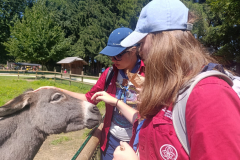 WhatsApp-Image-2025-08-07-at-12.58.52-8 WhatsApp-Image-2025-08-07-at-12.58.52-8