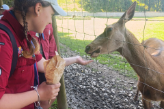 WhatsApp-Image-2025-08-07-at-12.58.53-1 WhatsApp-Image-2025-08-07-at-12.58.53-1