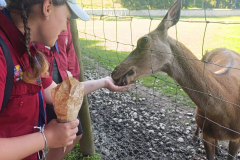 WhatsApp-Image-2025-08-07-at-12.58.53-2 WhatsApp-Image-2025-08-07-at-12.58.53-2