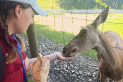 WhatsApp-Image-2025-08-07-at-12.58.53 WhatsApp-Image-2025-08-07-at-12.58.53